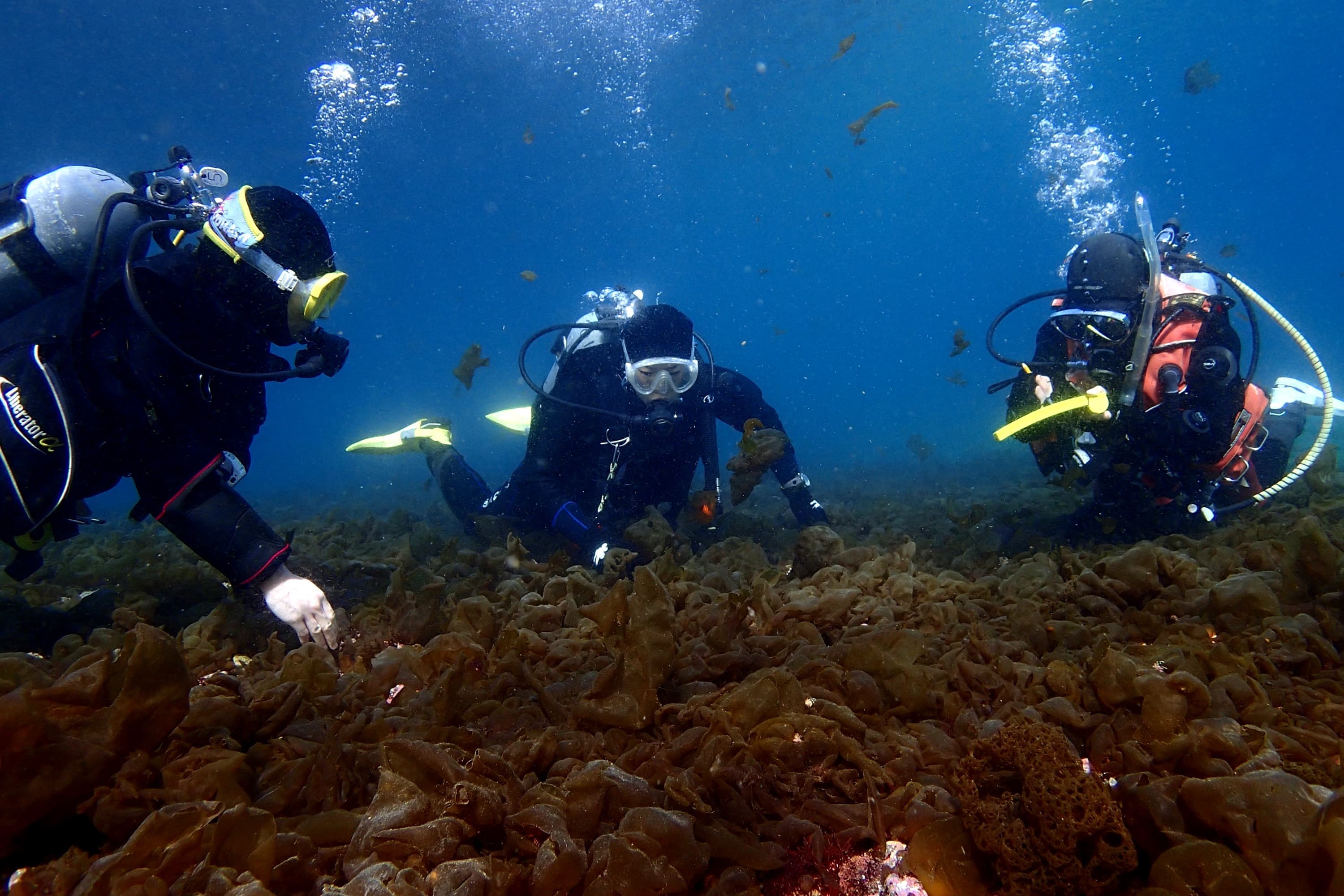 水深１mの海中世界で呼吸とバランスの練習中